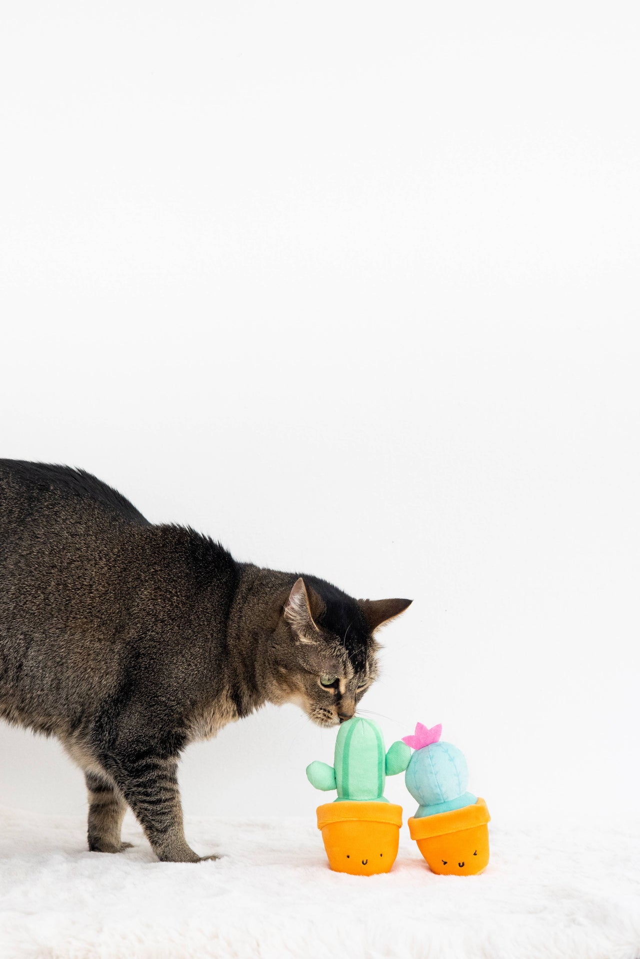 Cactus Cat Toy Set